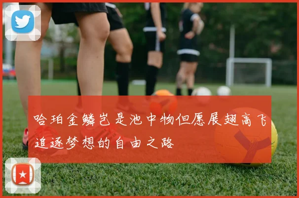 哈珀金鳞岂是池中物但愿展翅高飞追逐梦想的自由之路