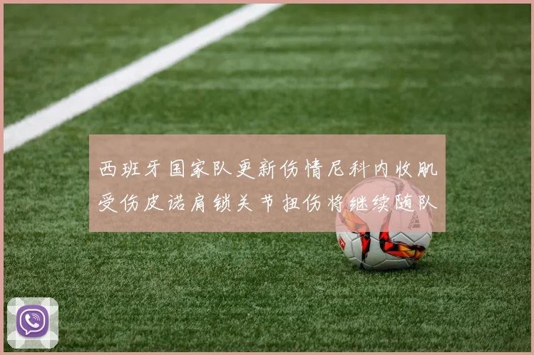 西班牙国家队更新伤情尼科内收肌受伤皮诺肩锁关节扭伤将继续随队训练