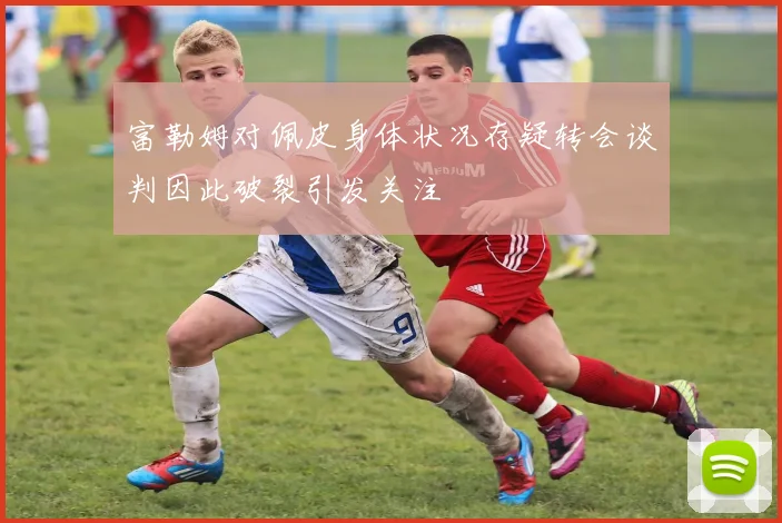 富勒姆对佩皮身体状况存疑转会谈判因此破裂引发关注